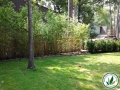Landscaped green yard