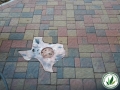 Texas stone brick walkway