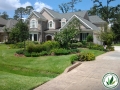 landscaped front yard green